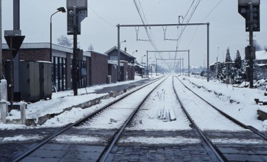 Hemiksem - TH 80-9960.jpg